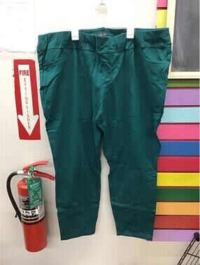 Susan graver weekend pull on slacks 3X petite green new from qvc stretch